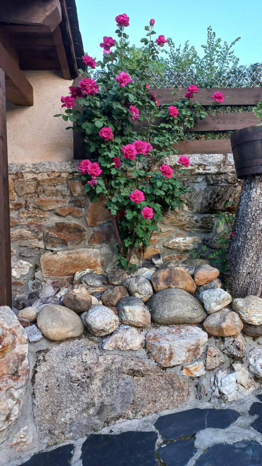 Casa Del Cura Guest House Rozas Exterior photo